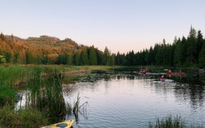 3 Things to Pack for Camp