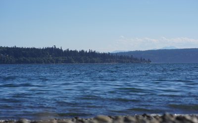 Kesher Takes on Camano Island State Park